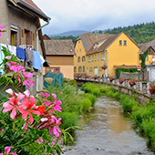 Alsace