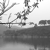 Chine